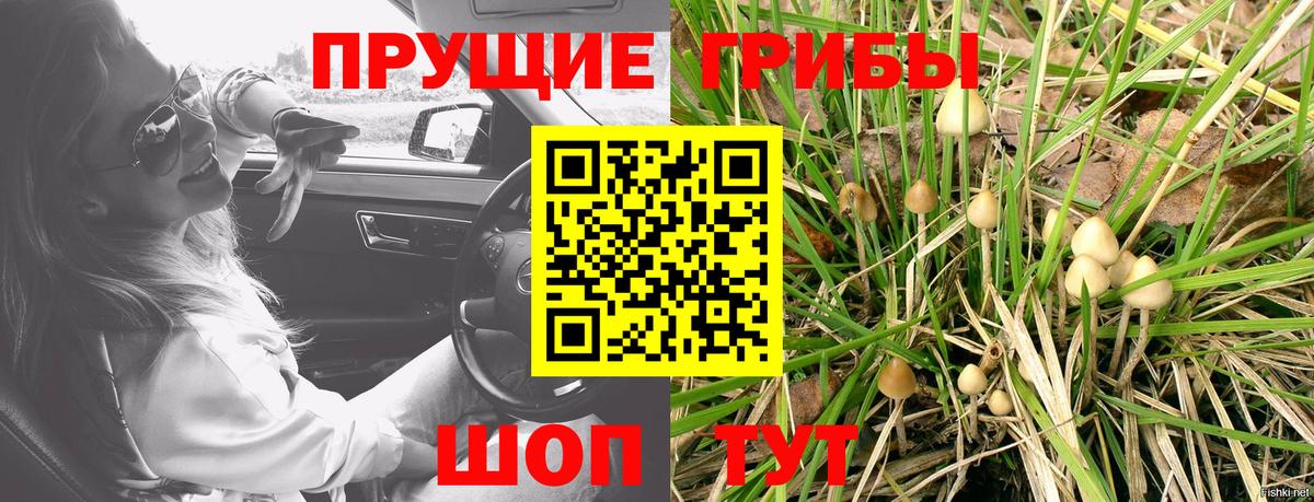 Псилоцибиновые грибы ЛСД  Псилоцибиновые грибы GOLDEN TEACHER  Воскресенск  Вход с VPN 